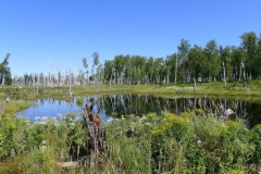 Saguenay-Lac-St-Jean-Bicycle-Tour-2011-ACC-0162