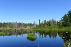 Saguenay-Lac-St-Jean-Bicycle-Tour-2011-ACC-0164