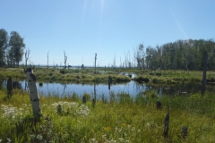 Saguenay-Lac-St-Jean-Bicycle-Tour-2011-Charles-Bergen-0023