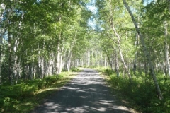 Saguenay-Lac-St-Jean-Bicycle-Tour-2011-Charles-Bergen-0034