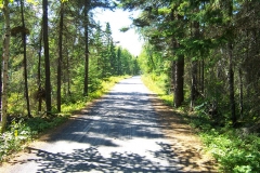 Saguenay-Lac-St-Jean-Bicycle-Tour-2014-Tess-Cyrus-0014