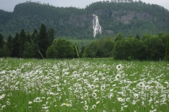 Saguenay-Lac-St-Jean-Bicycle-Tour-2009-ACC-0002