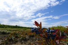 Saguenay-Lac-St-Jean-Bicycle-Tour-2011-ACC-0150