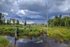 Saguenay-Lac-St-Jean-Bicycle-Tour-2016-Jeff-Young-0029