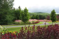 Saint-John-River-Tour-2007-ACC-0006