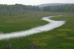 Saint-John-River-Tour-2012-Dodson-Dietrich-0014